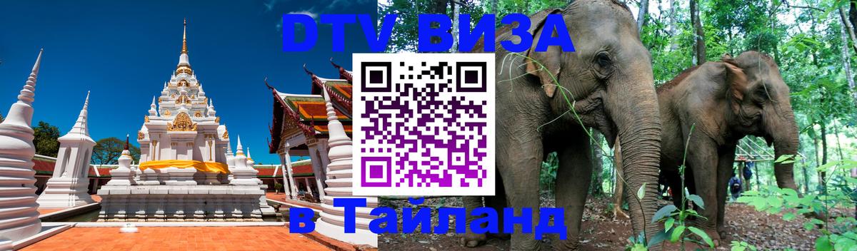 DTV (ДТВ) visa Таиланд Бердск 